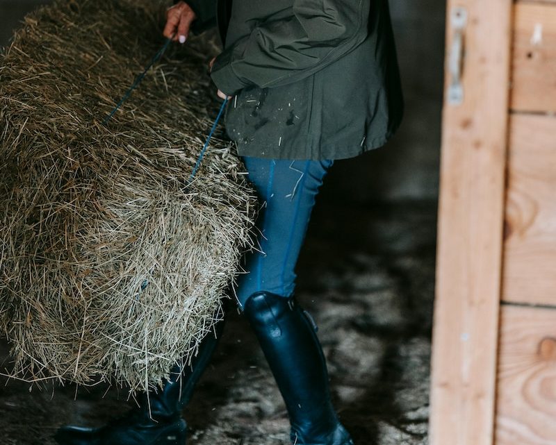 En erhvervsblog som løftestang for SoMe